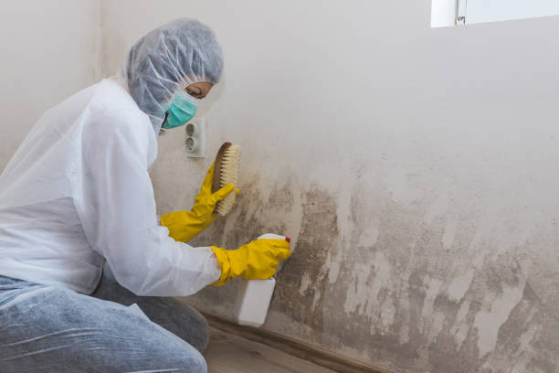 Best Mold Testing and Inspection Services in Richgrove, CA