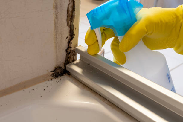 Best Bathroom Mold Remediation in Richgrove, CA