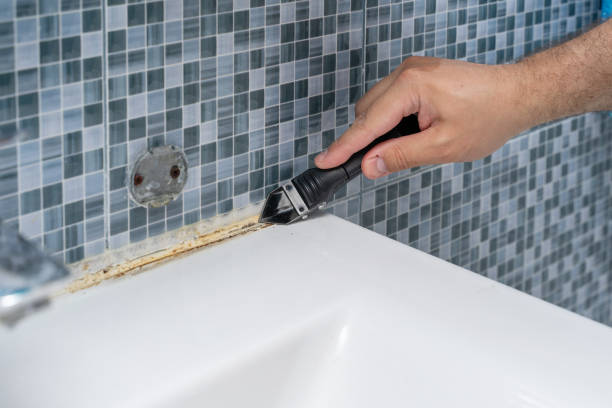 Best Health and Safety Mold Remediation in Richgrove, CA